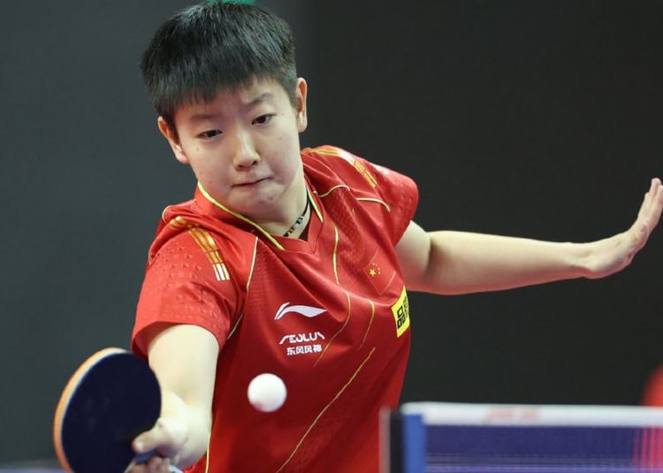 论的焦点 论的焦点