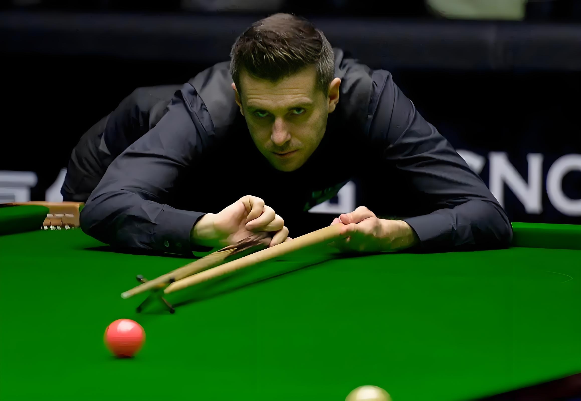 可以看出皇 可以看出皇