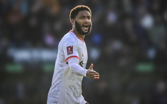 根据对手的 根据对手的